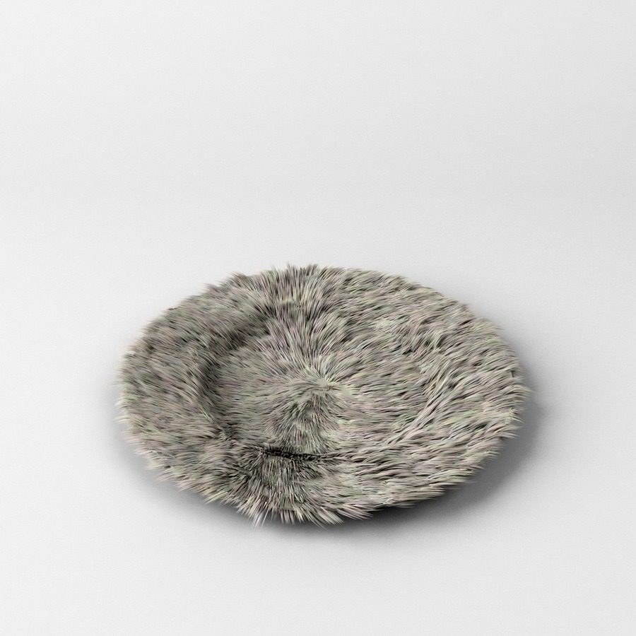 5.1_furry-plate_resize